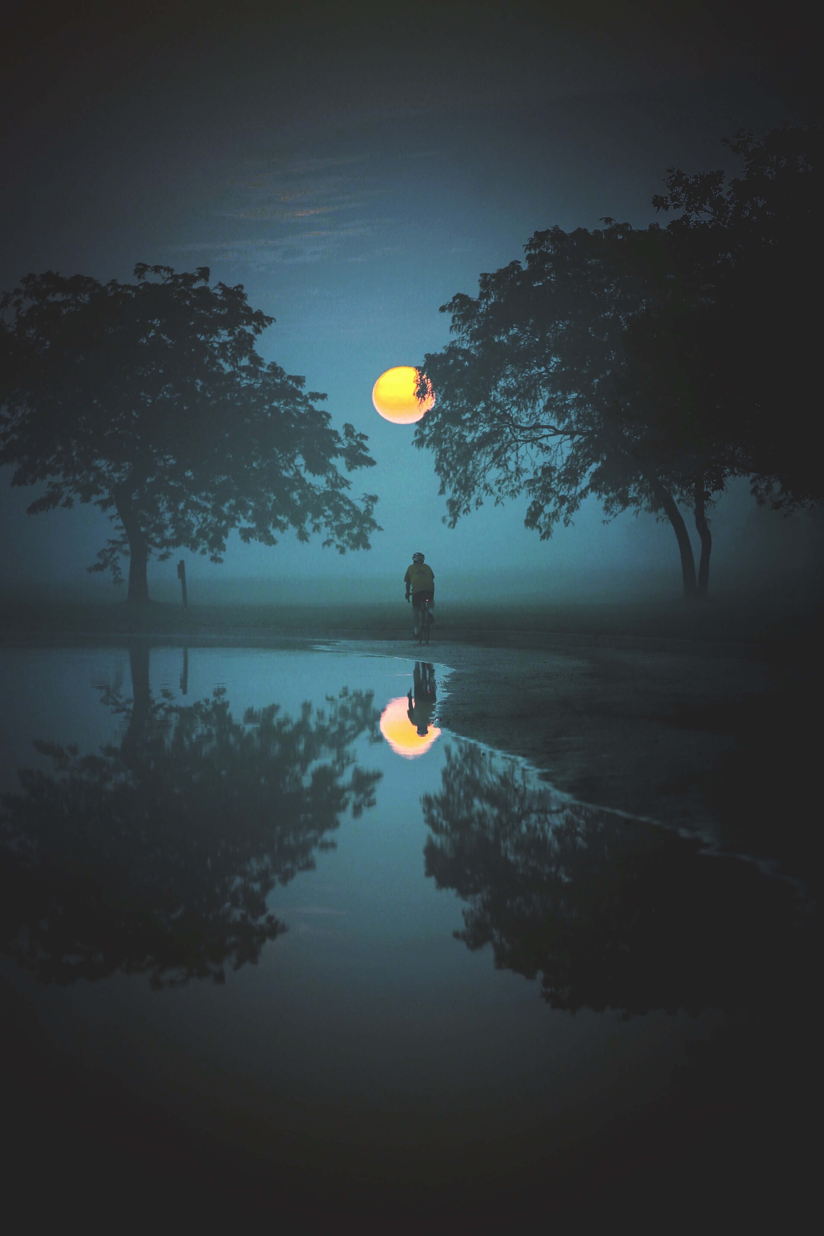 Was Ist Der Schnellste Und Schmerzloseste Tod Was Ist Der Schnellste Und Schmerzloseste Tod