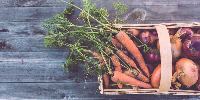 Gemüsesorten wie Karotten oder Tomaten werden häufig für ein Hochbeet empfohlen