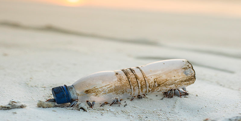 Statt Plastikflaschen sollen Flaschen aus Glas verwendet werden
